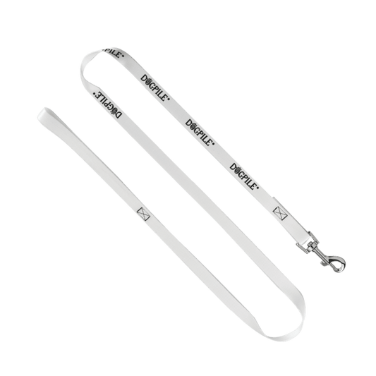 3/4" Smooth Nylon Pet Leash with Bright Metal Snap Hook