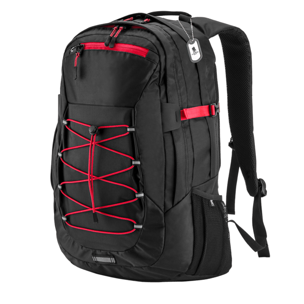 Basecamp Globetrotter Laptop Backpack
