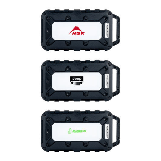 Lion Energy Cub 10000 mAh Powerbank