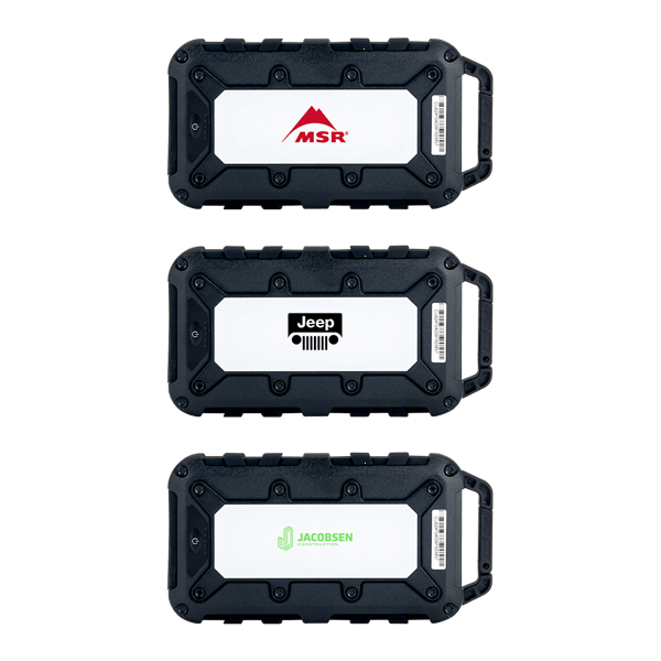 Lion Energy Cub 10000 mAh Powerbank