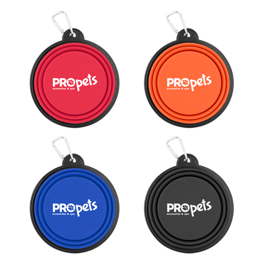 Collapsible Silicone Pet Bowl w/Carabiner