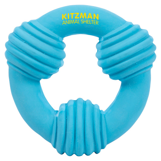 Blue Ring Dog Toy
