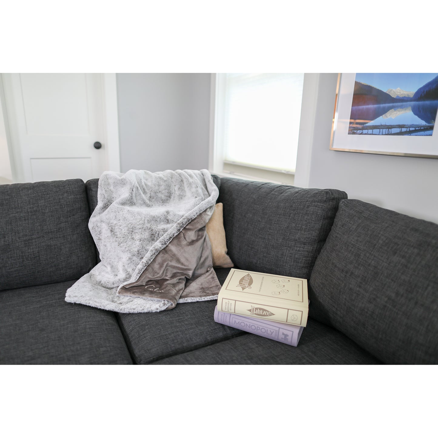 Luxe Faux Fur Throw Blanket