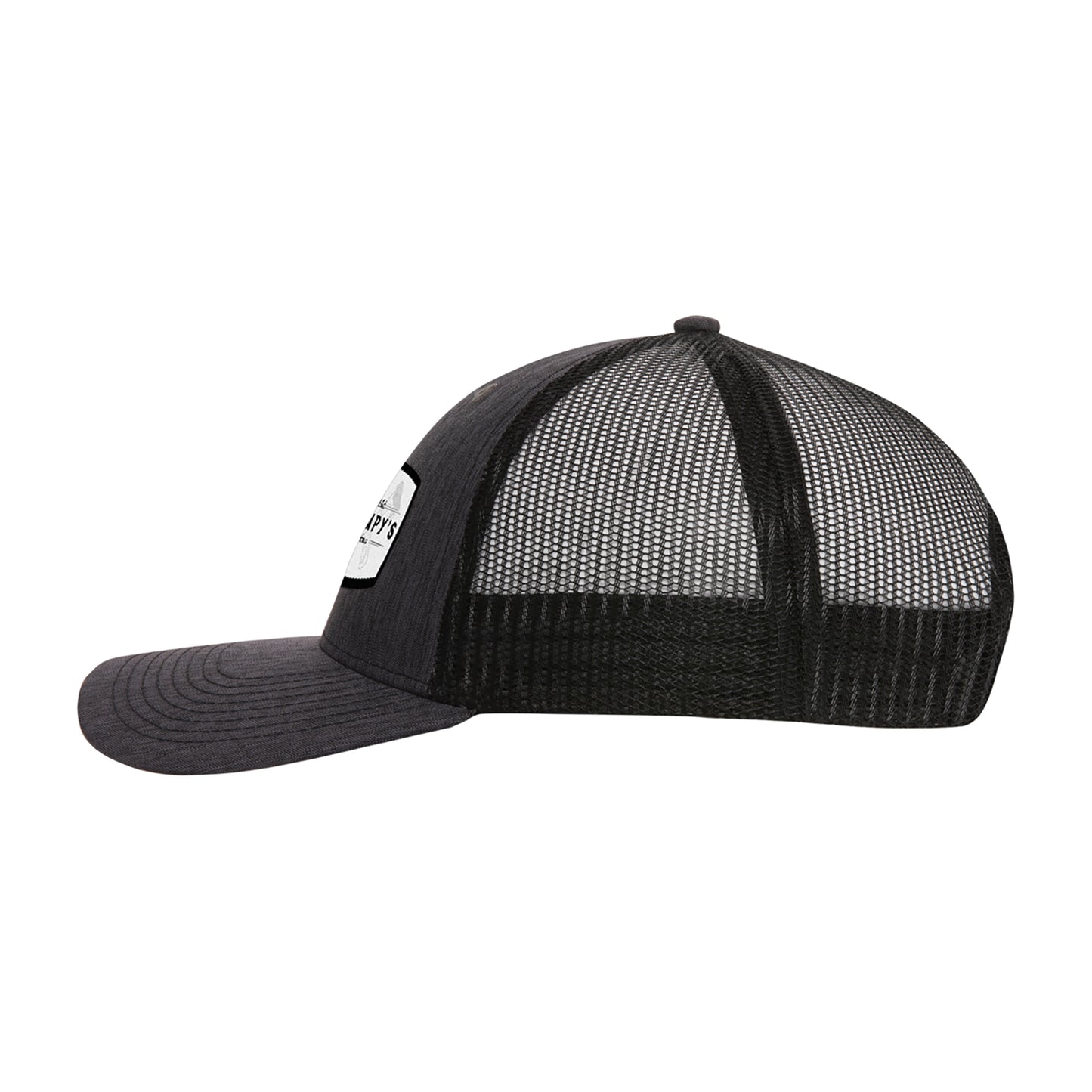 Ahead Brant Cap