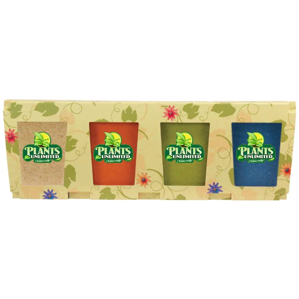 Promo Planter, Set of 4, Assorted