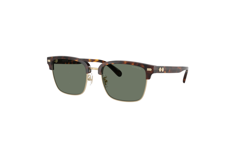 Coach Rogue Retro Sunglasses