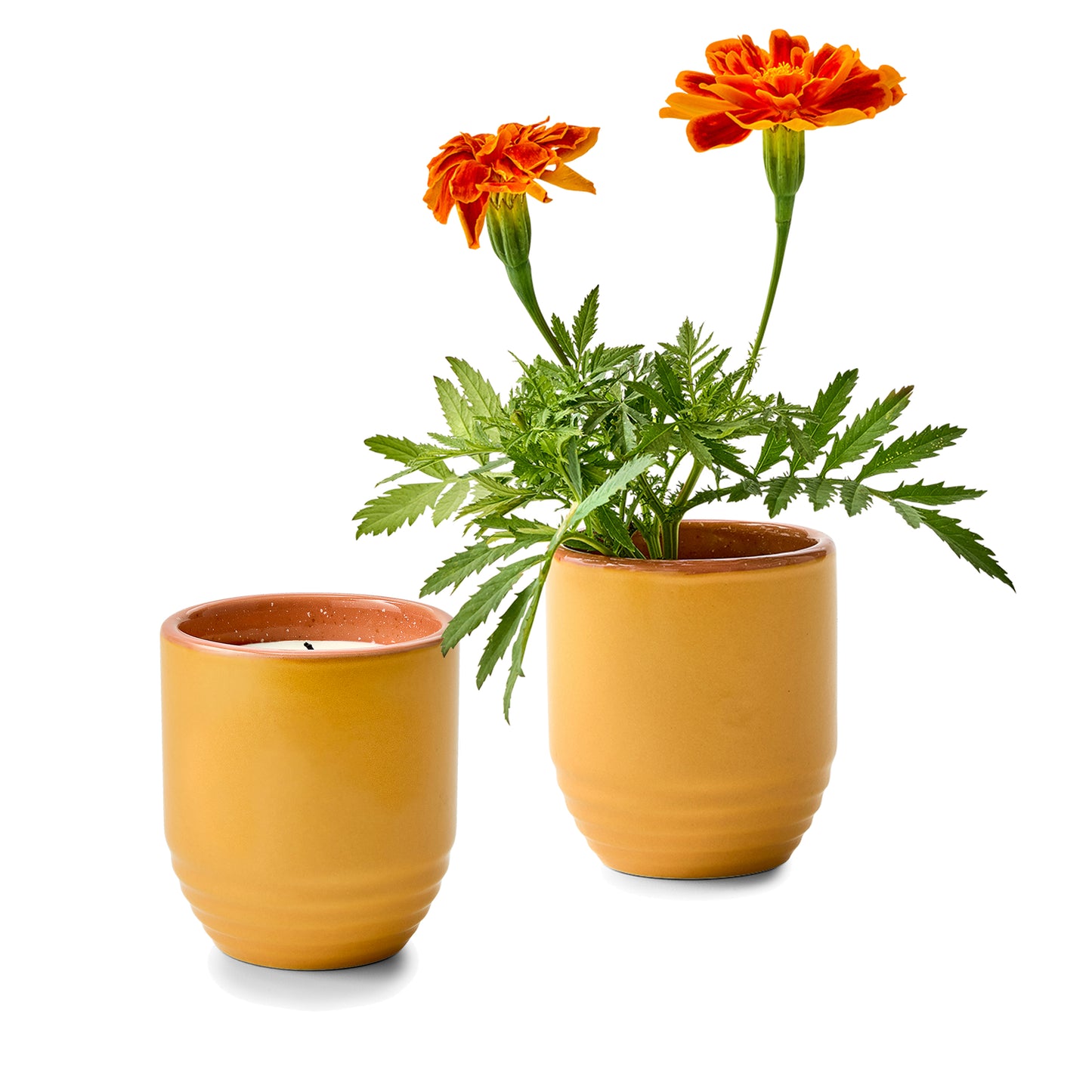 Modern Sprout® Garden Vibes Candle/Planter