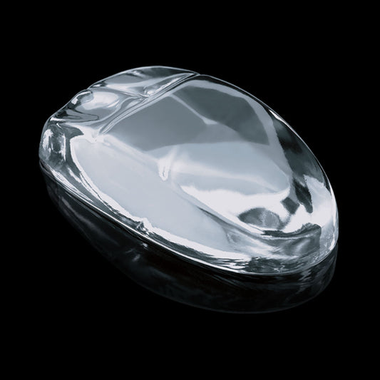 Computer Mouse Paperweight