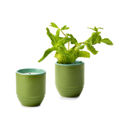 Modern Sprout® Garden Vibes Candle/Planter