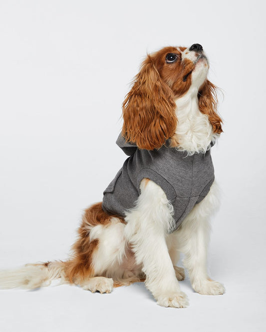 Doggie 3-End Fleece Hooded Sweatshirt - 3926