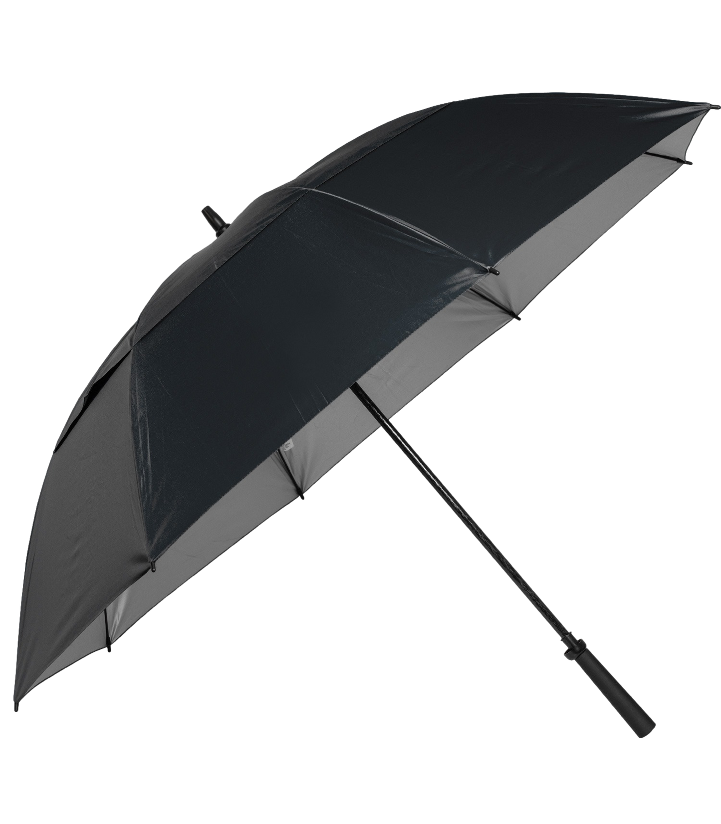 The Raydefyer Umbrella