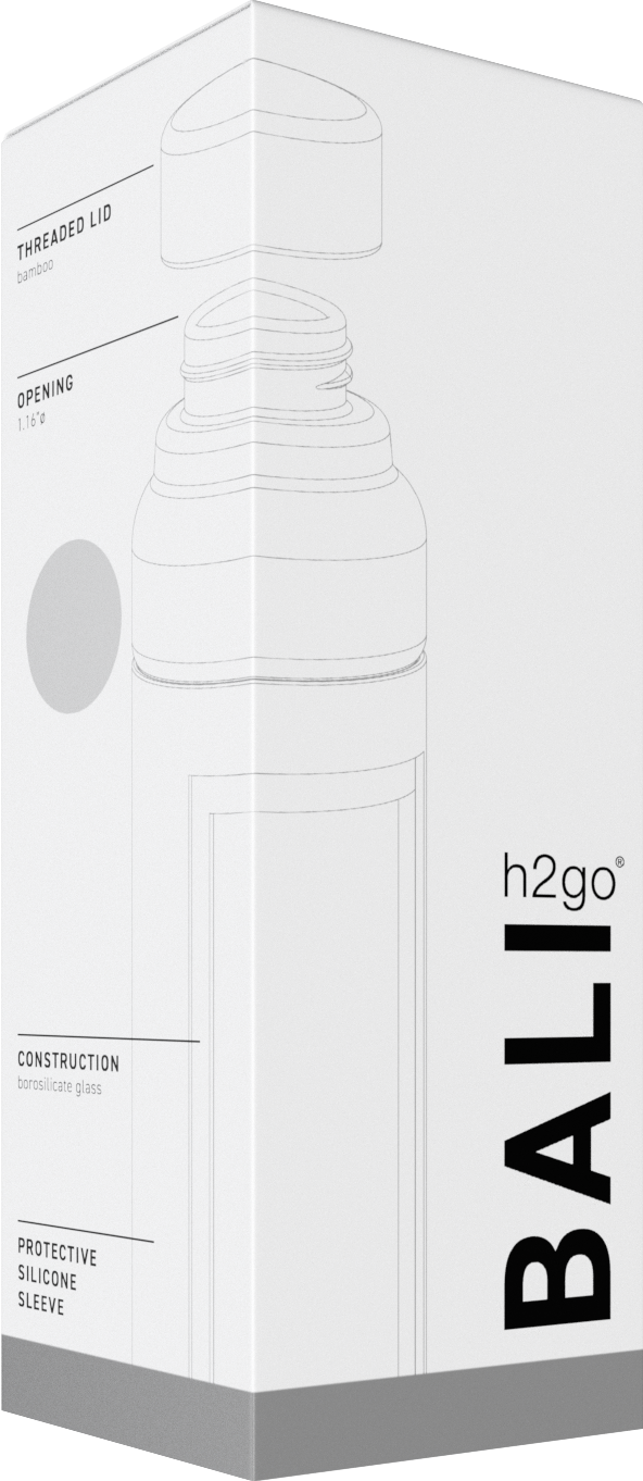 frost 18 oz h2go bali