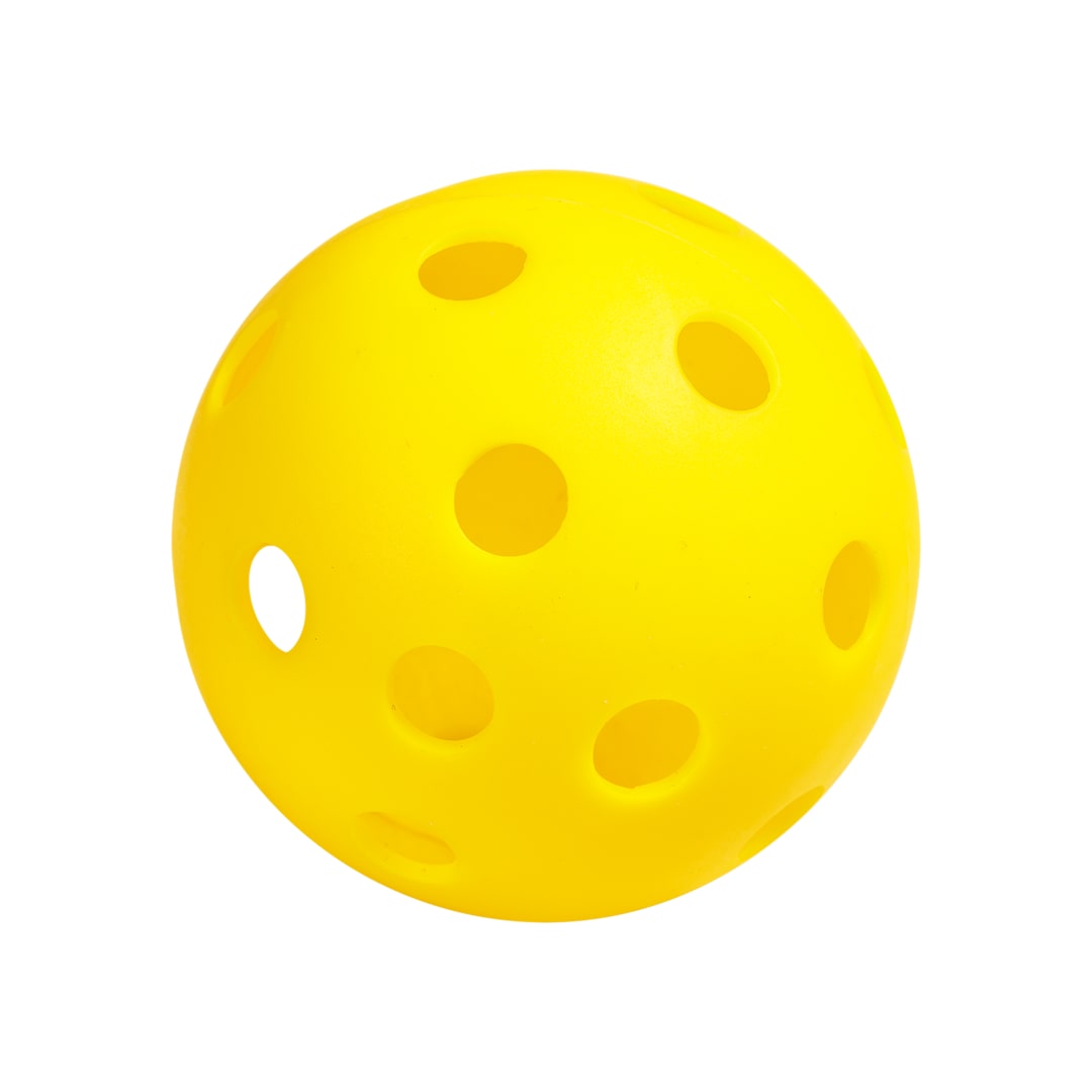 Onix Recruit Beginner Pickleball Set