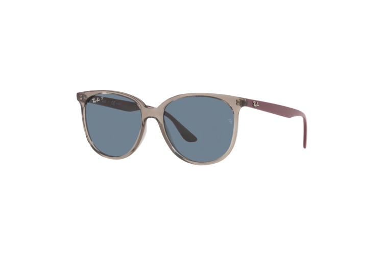 Ray-Ban Polarized RB4378 Sunglasses