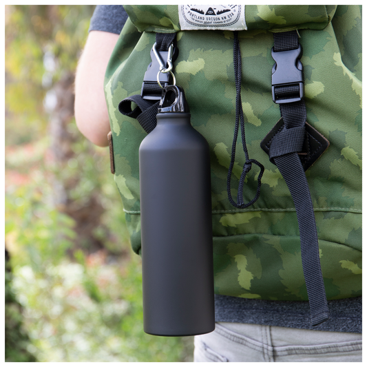 24 oz h2go aluminum classic