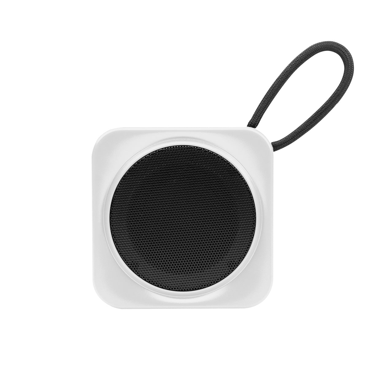 RABS Speaker