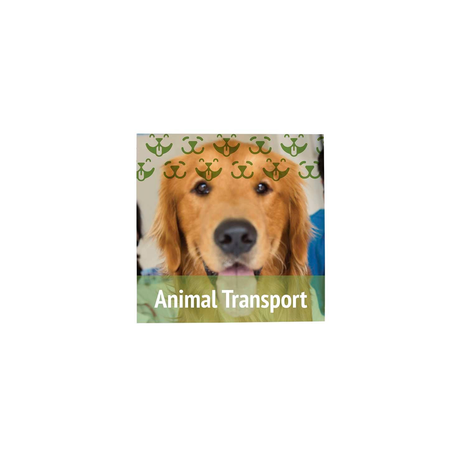 12" x 12" Magnet Promo Sign