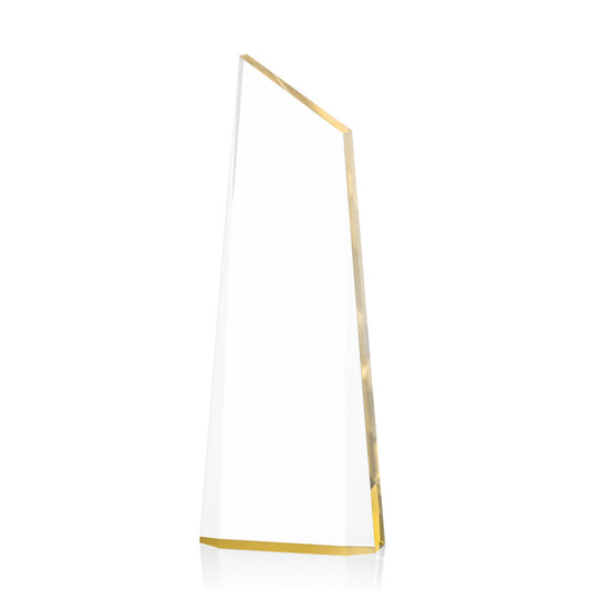 Webster Award