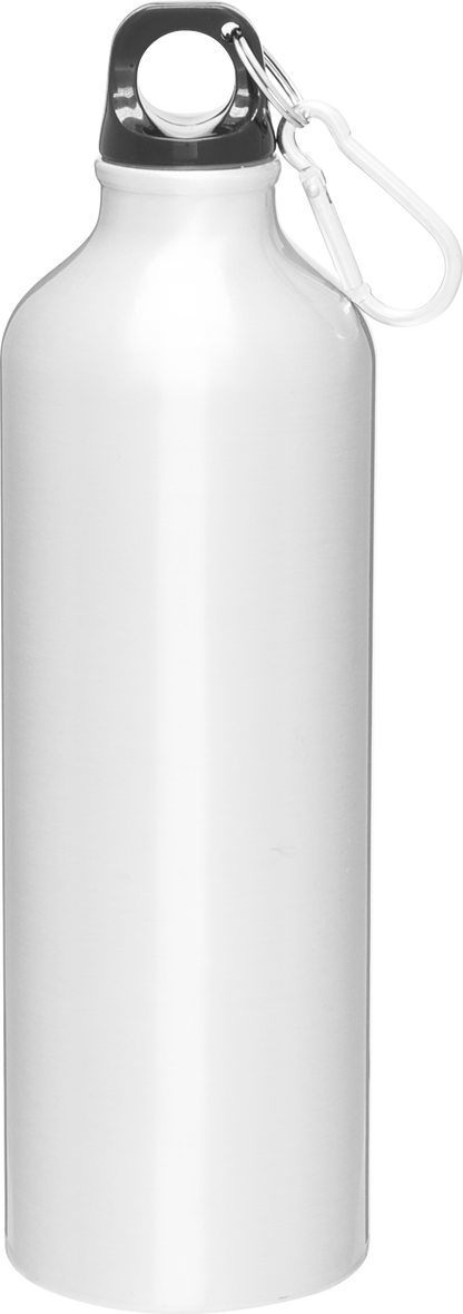 24 oz h2go aluminum classic