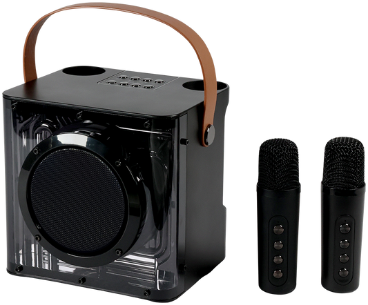 15W Karaoke Wireless Speaker with 2 Mics