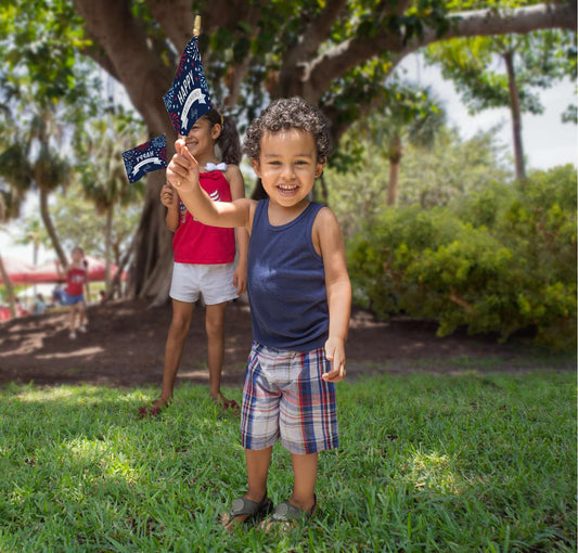 6" x 9" Stick Flag Kits with Spear Tip (Set of 6)