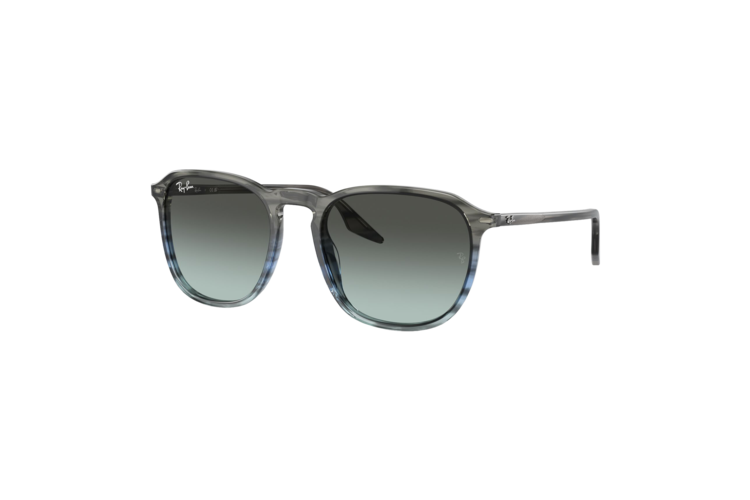 Ray-Ban RB2203 Sunglasses
