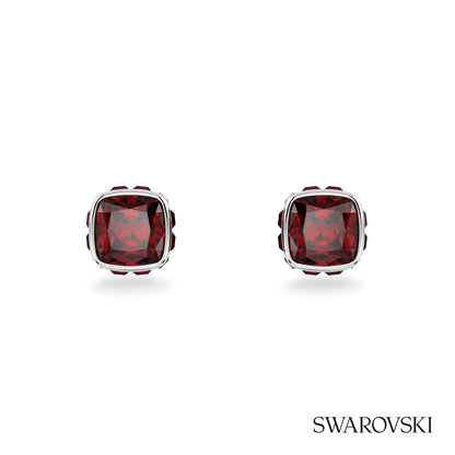 Swarovski® Birthstone Stud Earrings