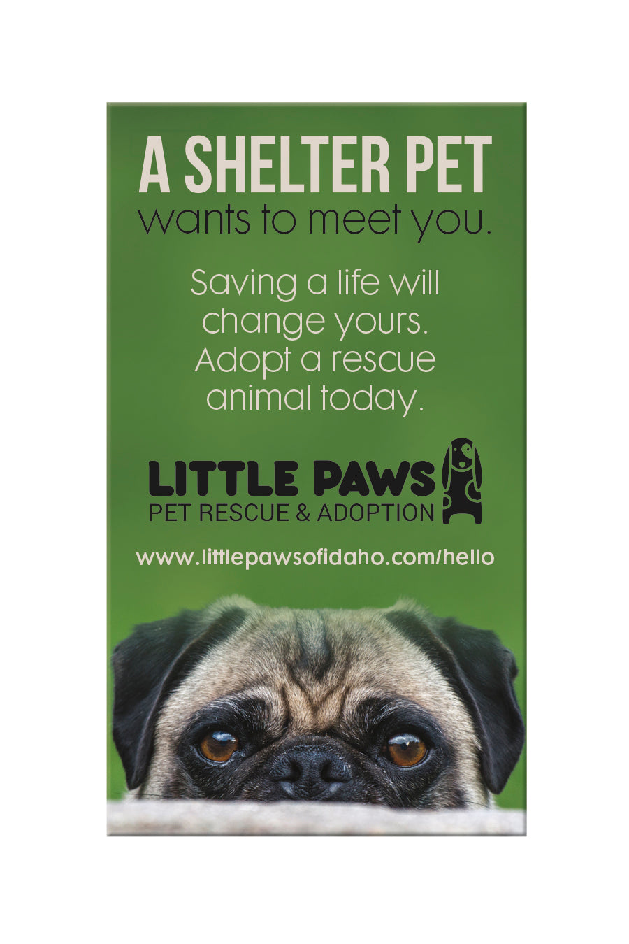 Good Value™ Business Card Magnet