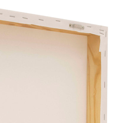 16" x 20" Canvas Print