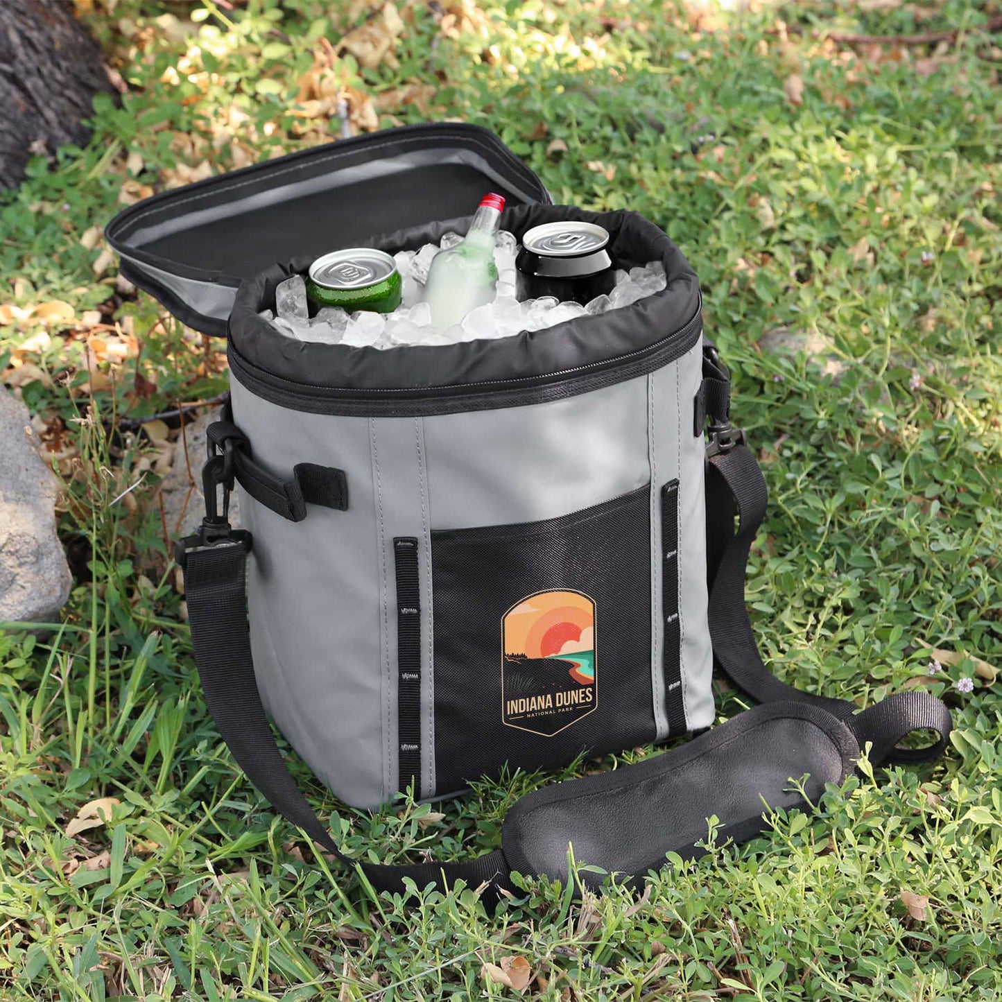 Frosty Cooler Bag: 12 Can