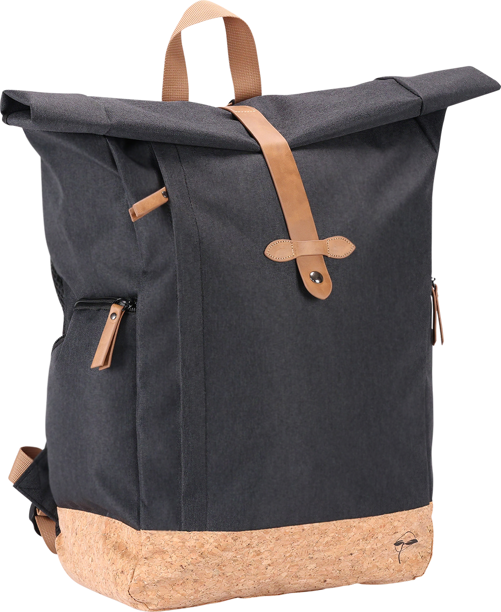EarthTrendz™ rPET Rolltop Backpack