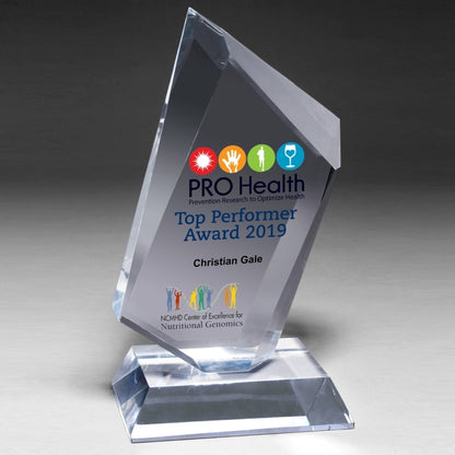 Large Summit Award - Laser Engraved