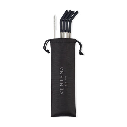 Black Aviana™ Poppy 4-Pack Stainless Straw Set