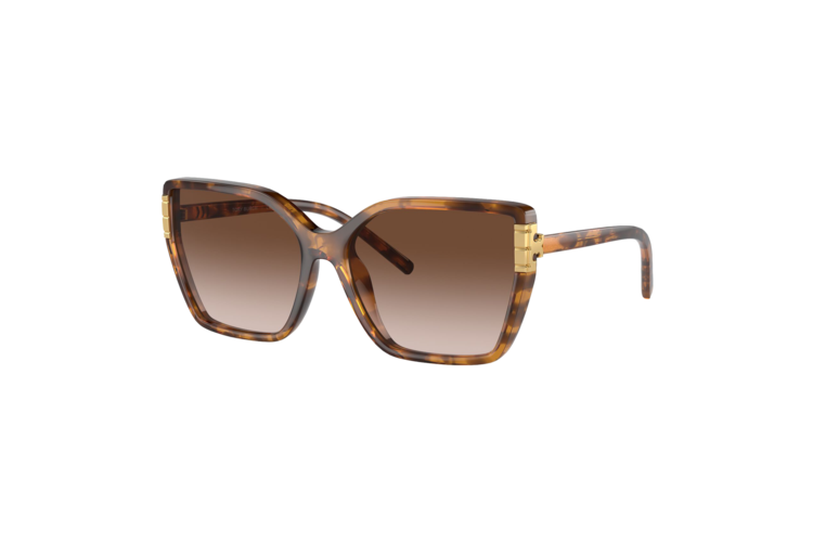 Tory Burch Women's Eleanor Oversized Cat-Eye Sunglasses