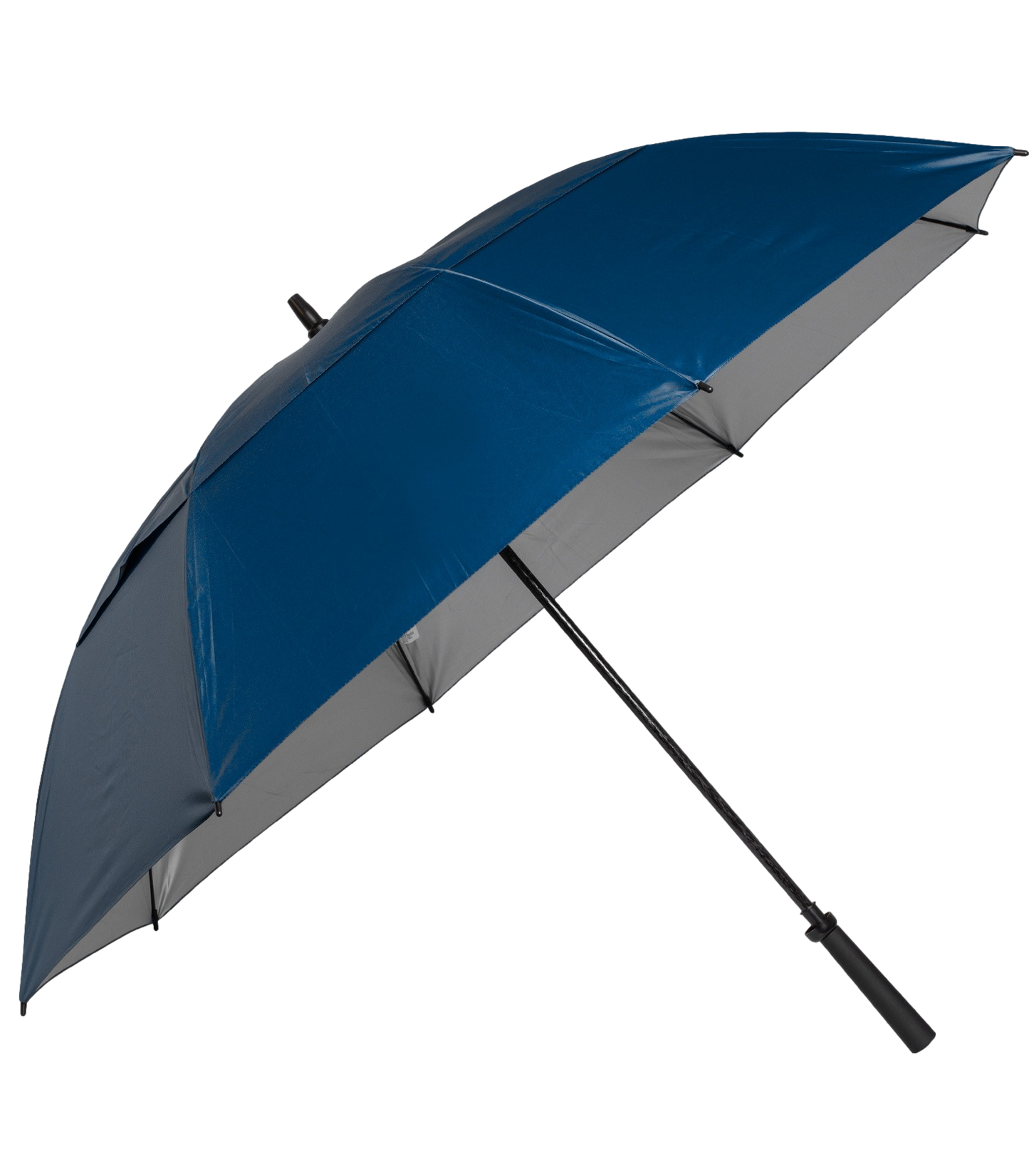 The Raydefyer Umbrella