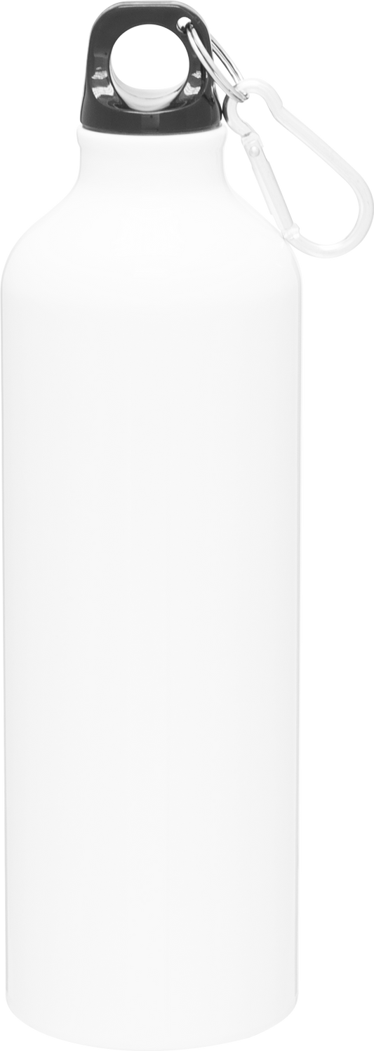24 oz h2go aluminum classic