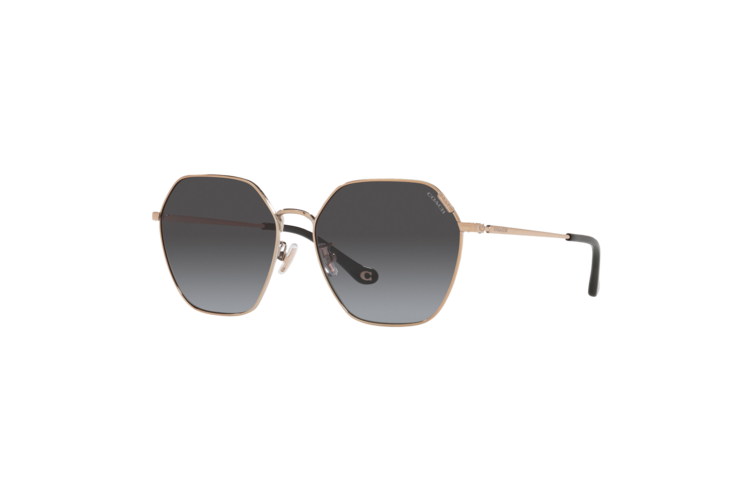 Coach Women's Metal Hexagon Sunglasses