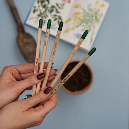 SproutWorld™ Pencil