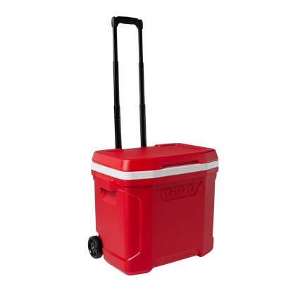 Igloo Profile II® 28-quart Cooler
