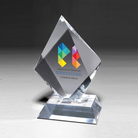 Medium Summit Award - Screen Print