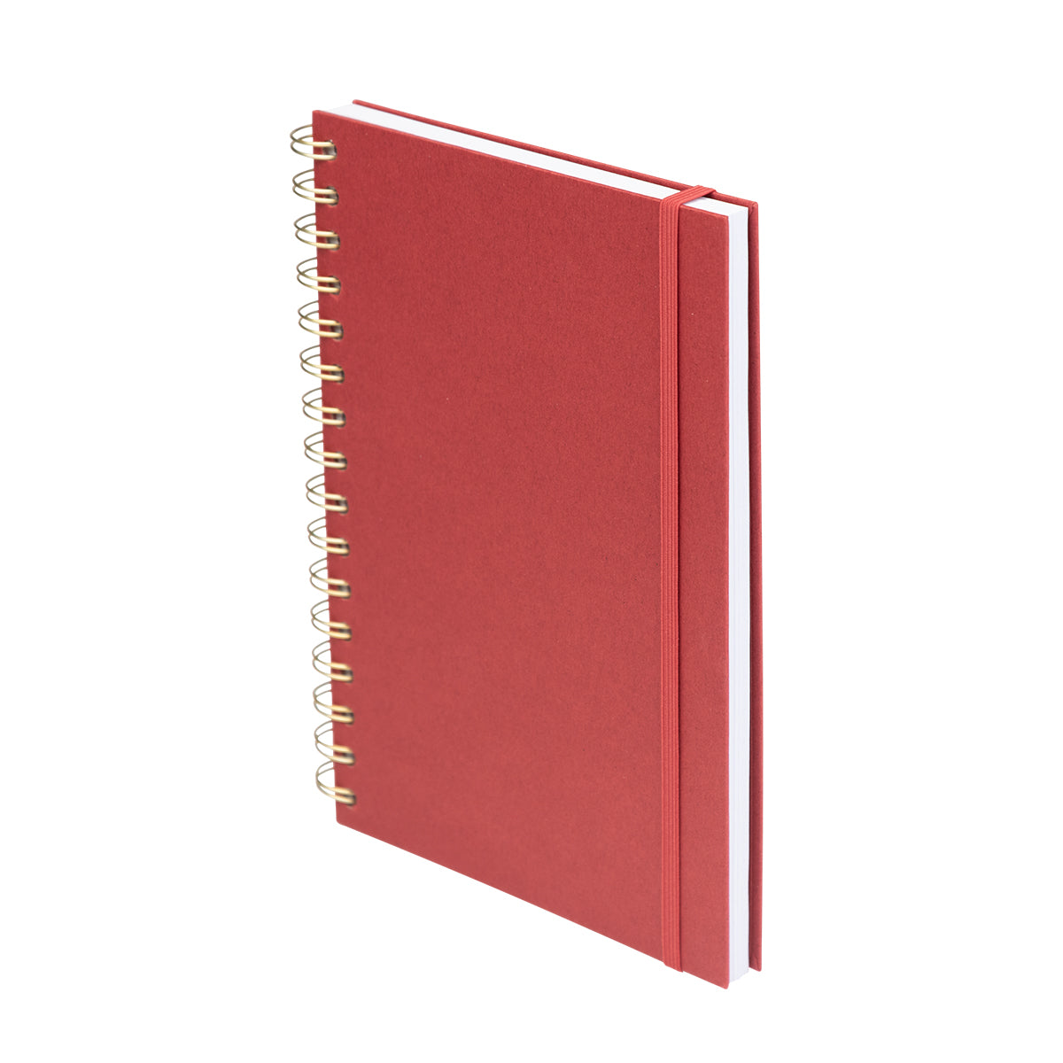 Fruit Paper Spiral Notebook
