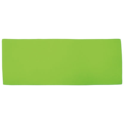 Front View of Gray Carabiner Bottle with Cooling Towel