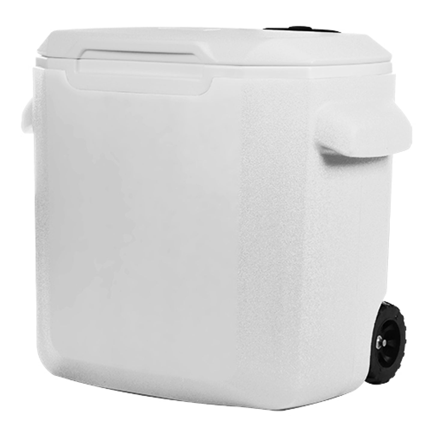 Rear View of White Coleman® 28 Qt. Wheeled Cooler
