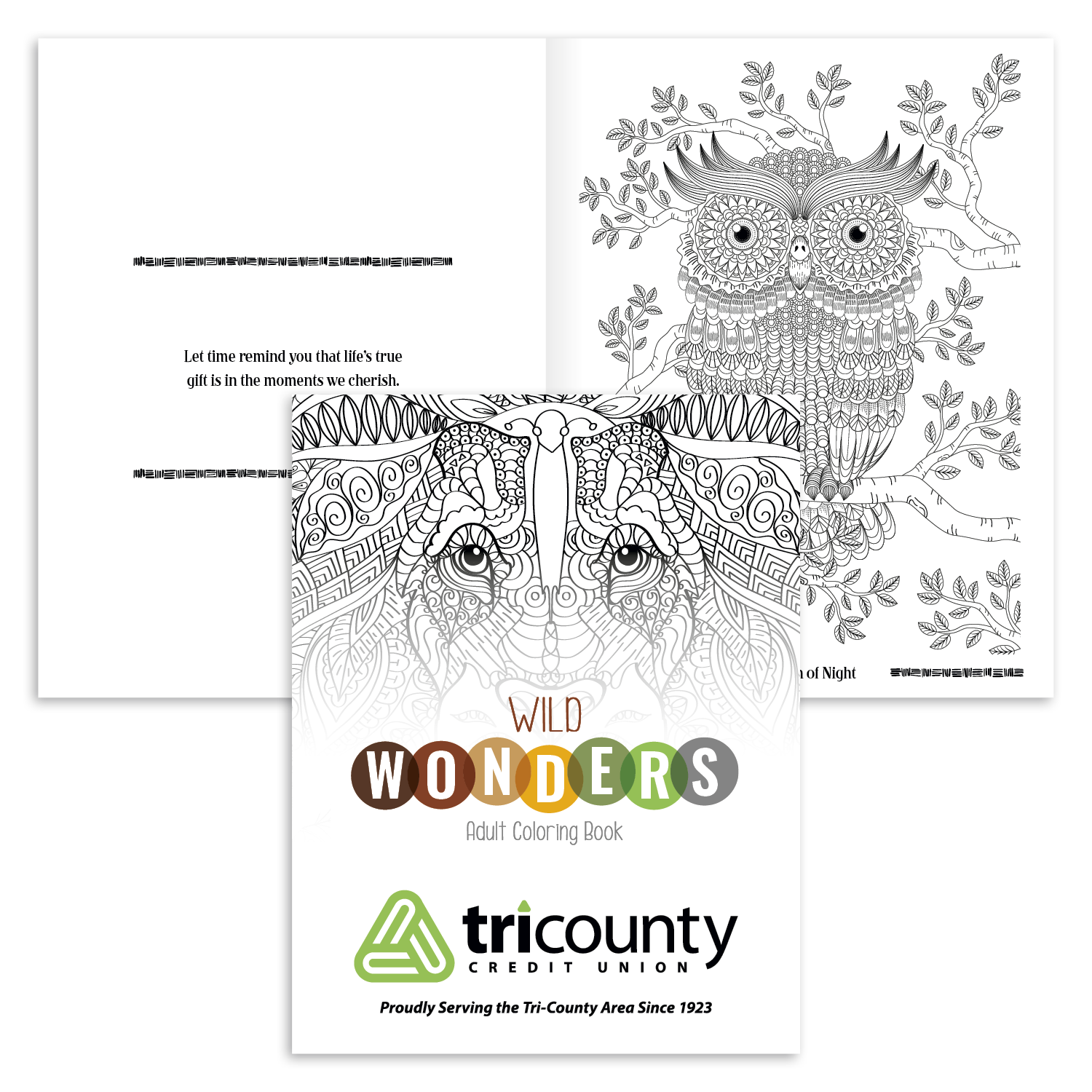 Wild Wonders (Animals) Good Value™ Wild Wonders Adult Coloring Book