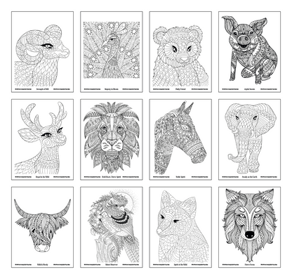 Good Value™ Wild Wonders Adult Coloring Book