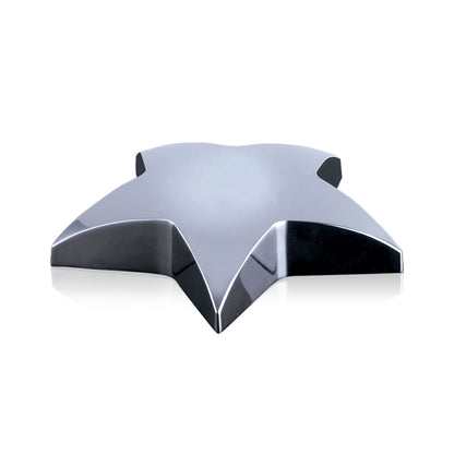 Hollister Star Paperweight