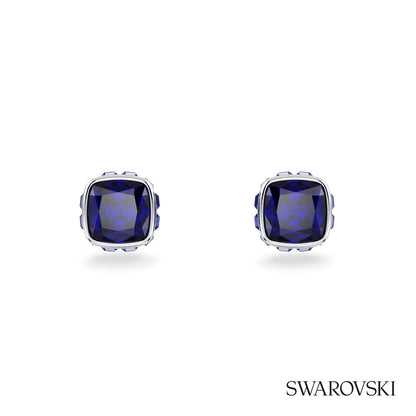 Swarovski® Birthstone Stud Earrings