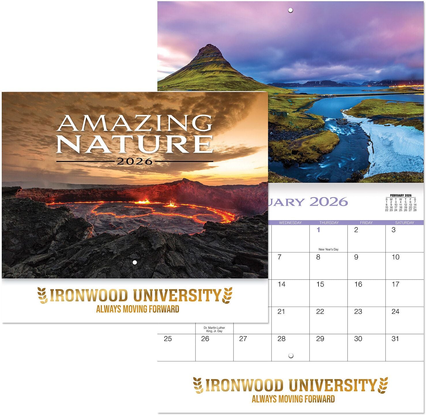 LUXE AMAZING NATURE STAPLED WALL CALENDAR