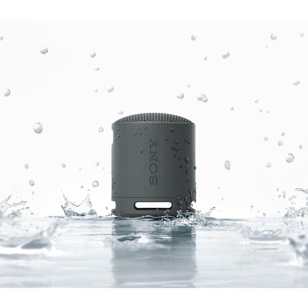 Sony SRS-XB100 Bluetooth Speaker