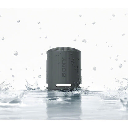 Sony SRS-XB100 Bluetooth Speaker
